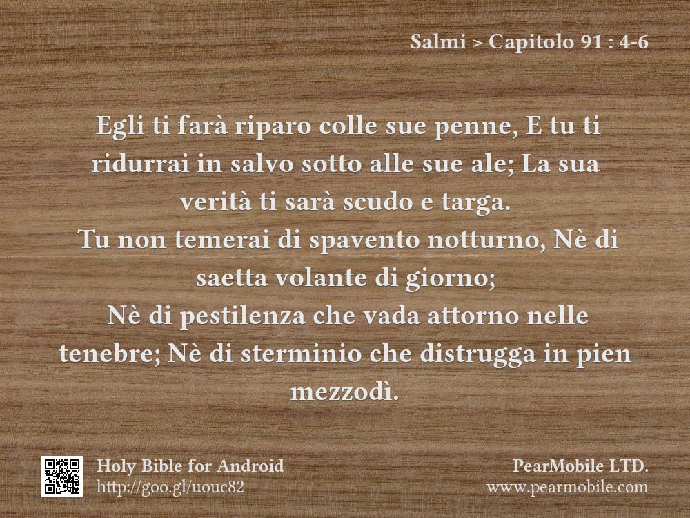 Salmi, Capitolo 91:4-6